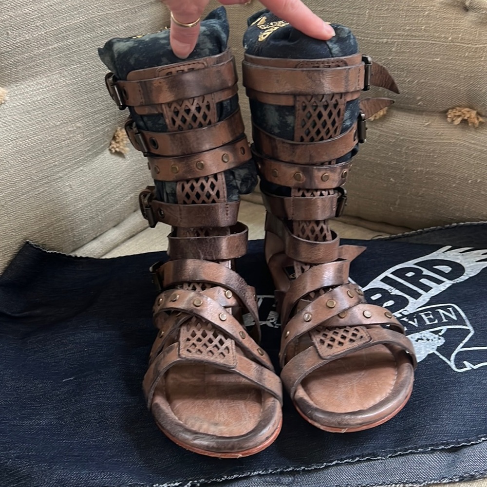 Freebird by Steven Biscayne gladiator sandal in brown, Size 7. Never been worn.